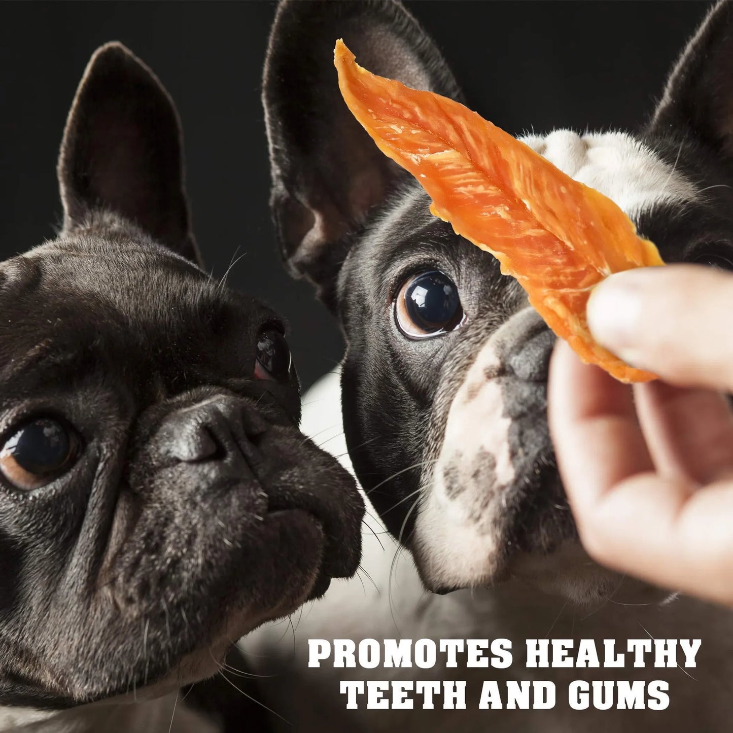 All-Natural Chicken Jerky Dog Treats – High Protein, Grain-Free Chews