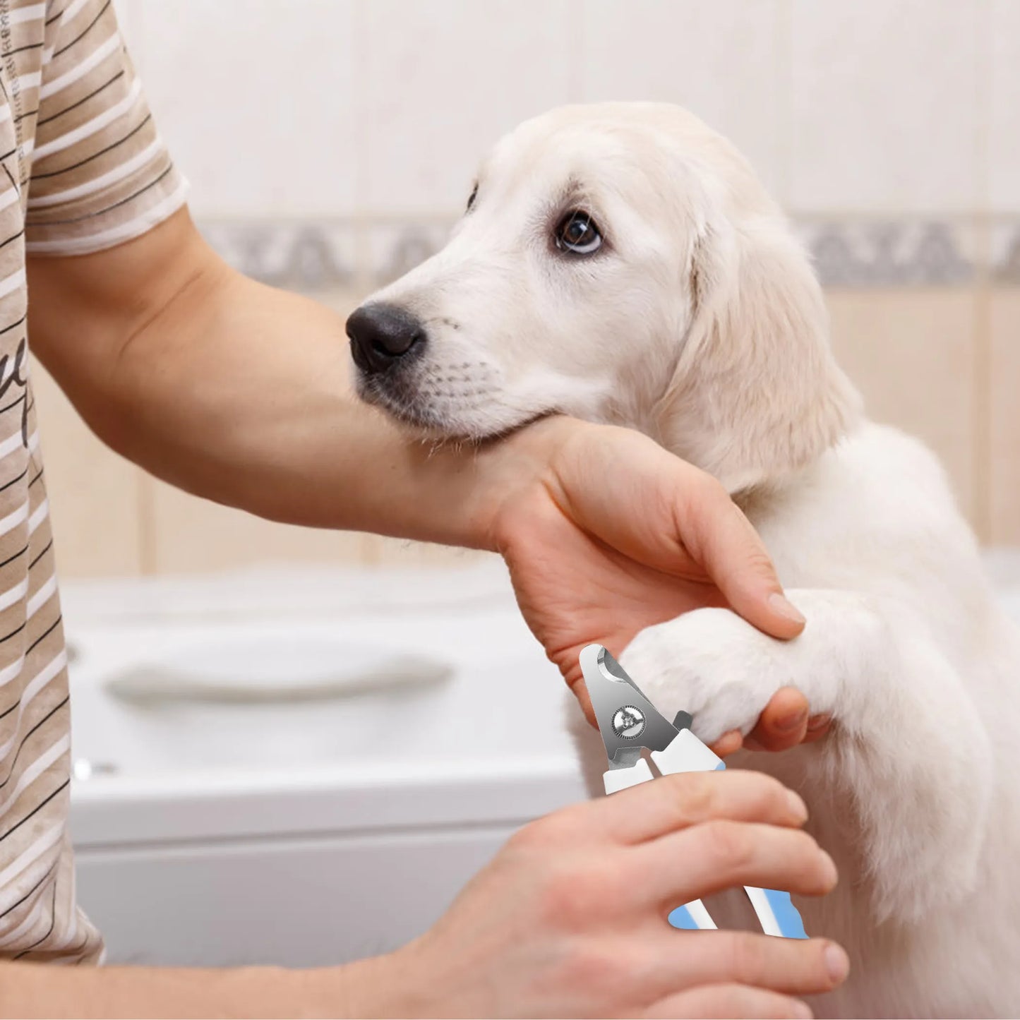 Dog Nail Clippers Pet