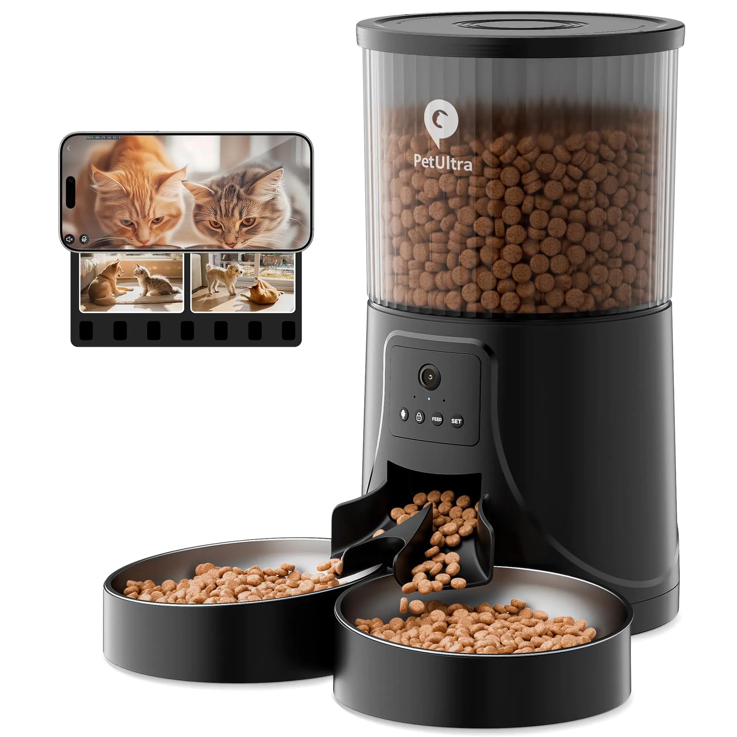 Buy Automatic Cat Feeders for 2 Cats