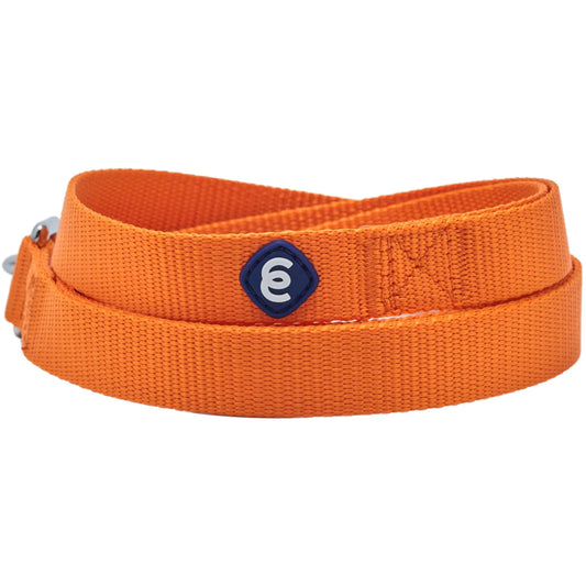 Blueberry Pet Essentials Durable Classic Dog Leash