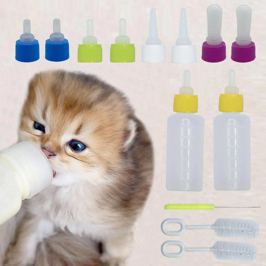 Newborn Animal Feeder Kit