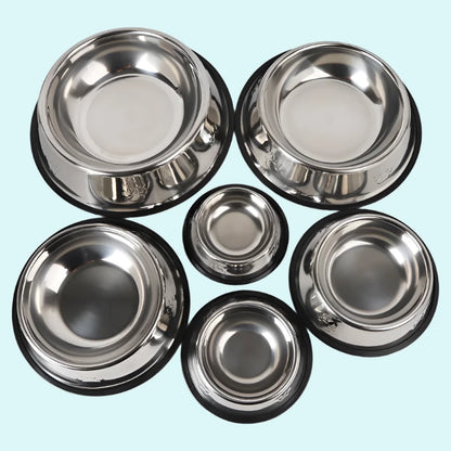 Stainless Steel Pet Bowl & Toys