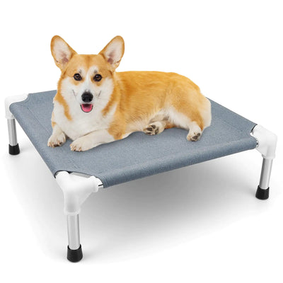 Elevated Dog Bed