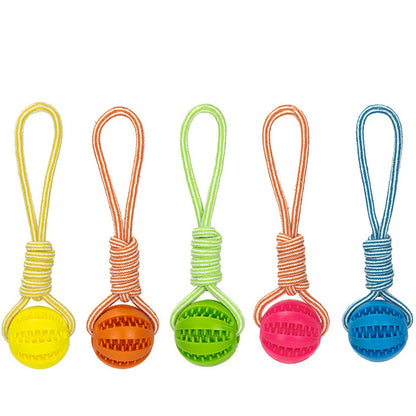 Interactive Pet Treat Balls Toy