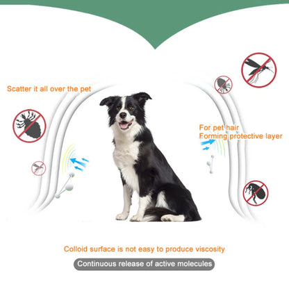 Pet Anti Flea And Collar