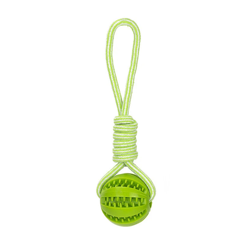 Interactive Pet Treat Balls Toy