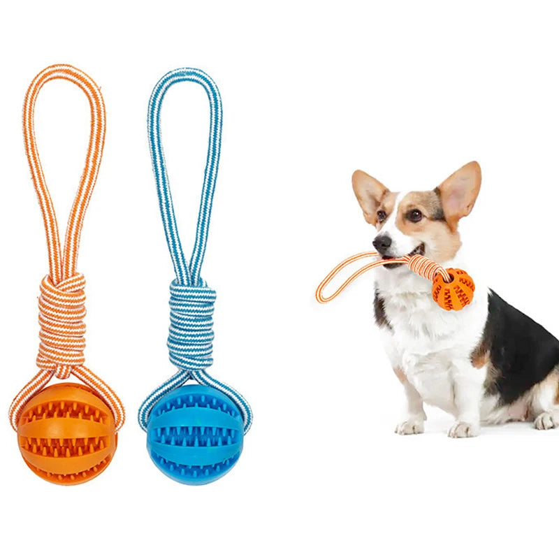 Interactive Pet Treat Balls Toy