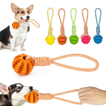 Interactive Pet Treat Balls Toy