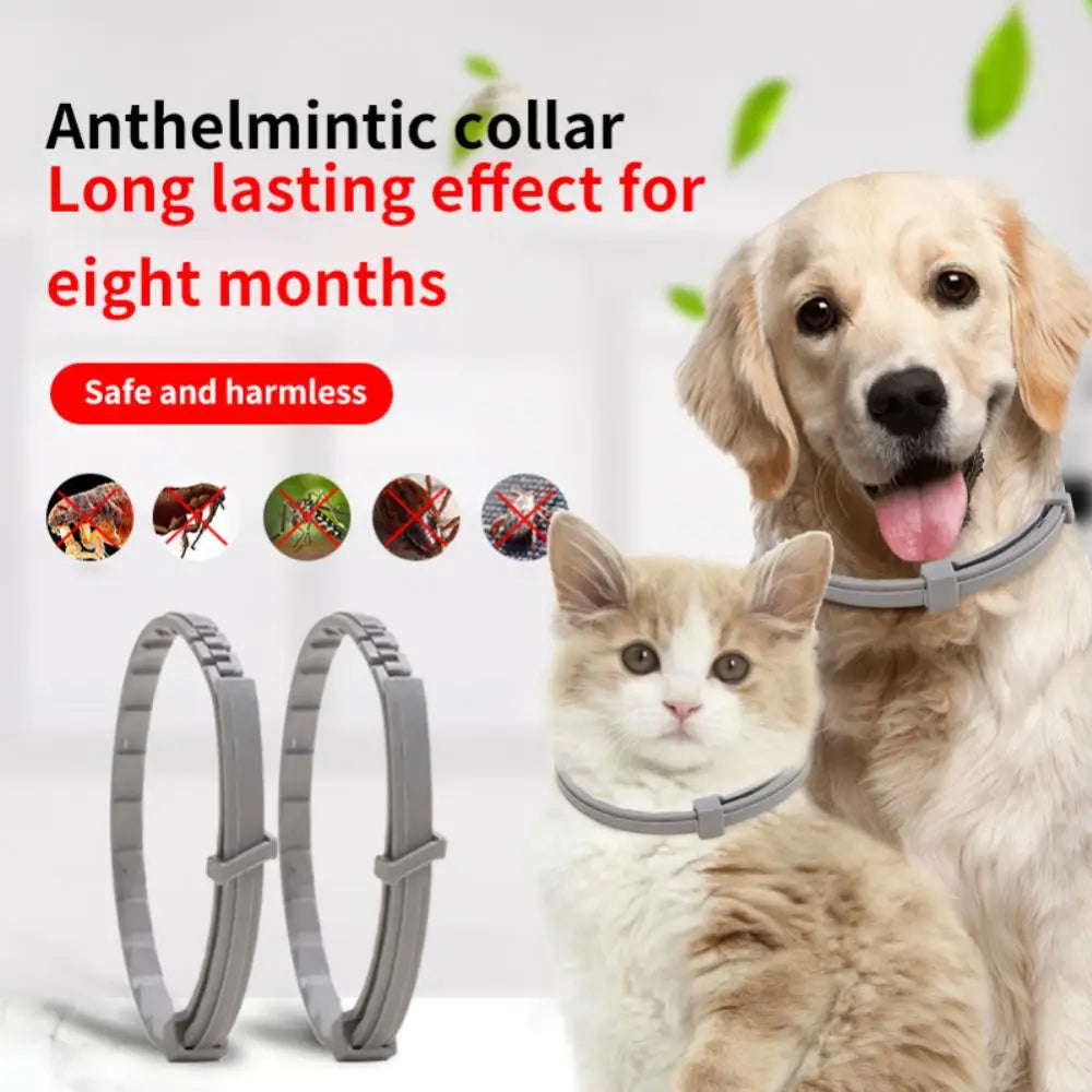 Pet Anti Flea And Collar