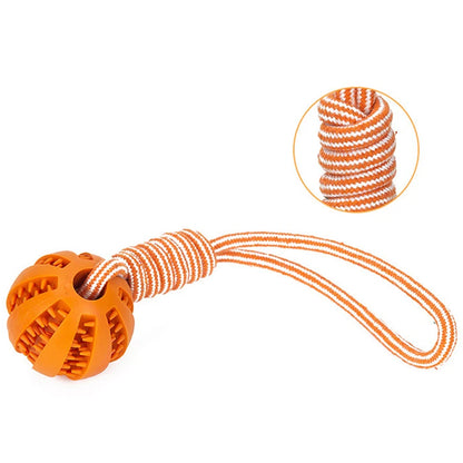 Interactive Pet Treat Balls Toy