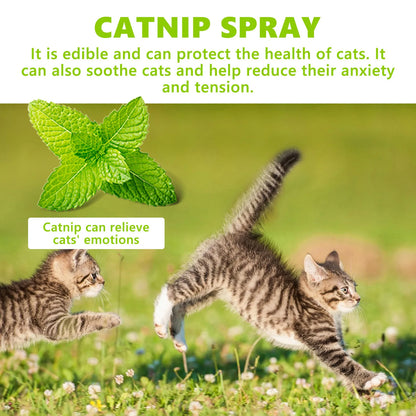 Calming Pet Catnip Spray for Stress