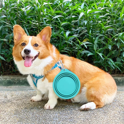 Portable Collapsible Silicone Pet Bowl