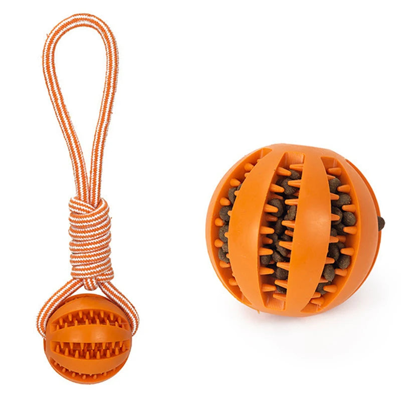 Interactive Pet Treat Balls Toy