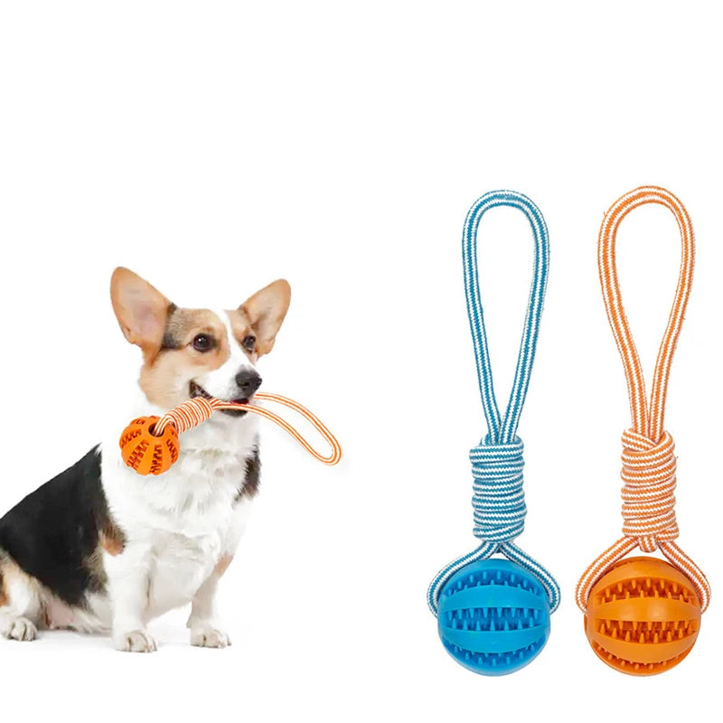 Interactive Pet Treat Balls Toy