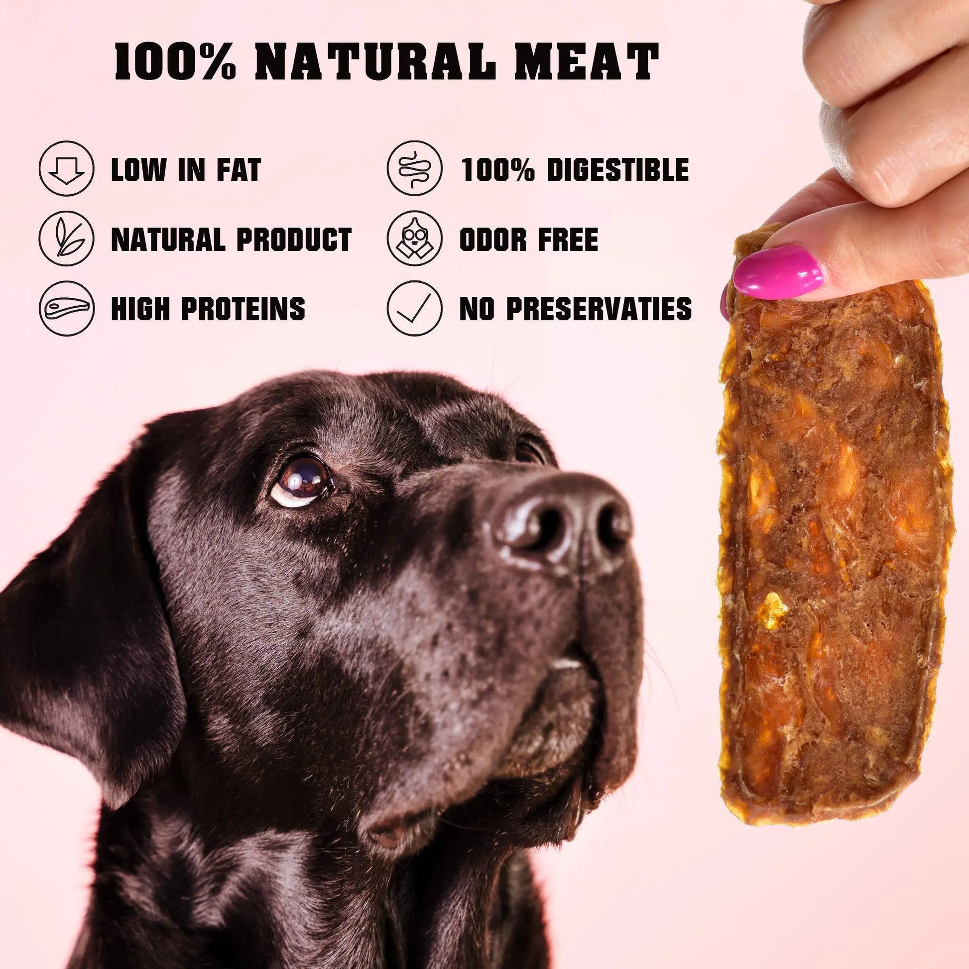 Shop Chicken Jerky Dog Treats 1.5 Lb