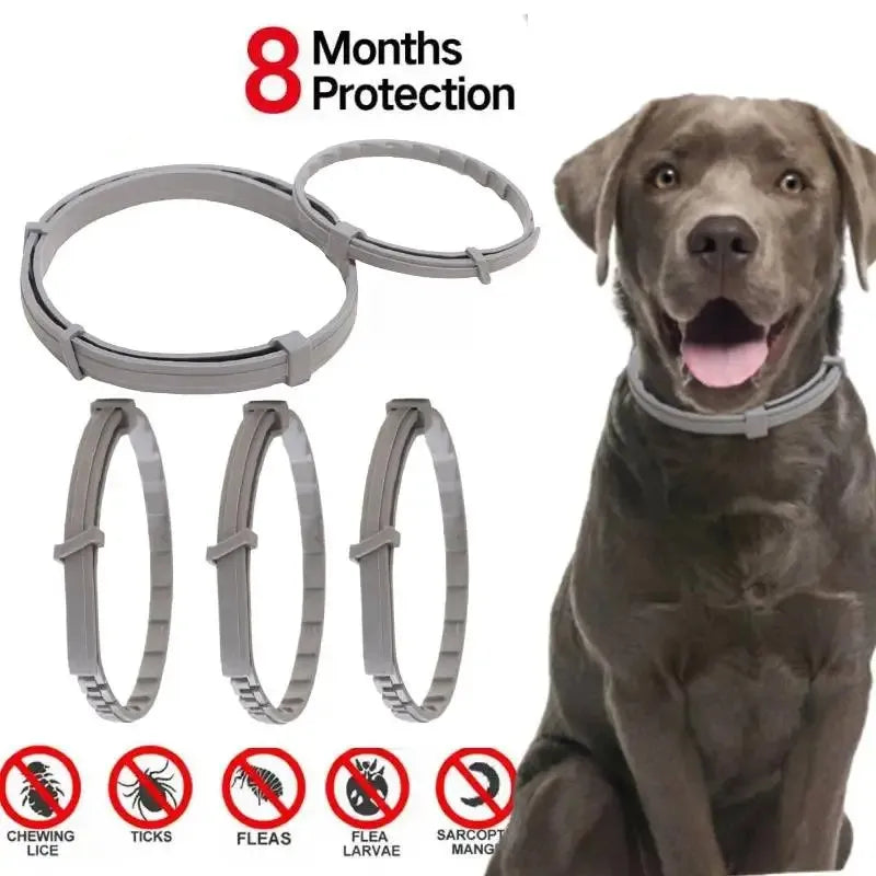 Pet Anti Flea And Collar