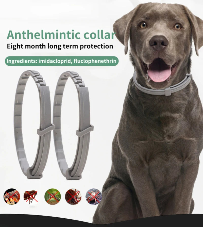 Pet Anti Flea And Collar