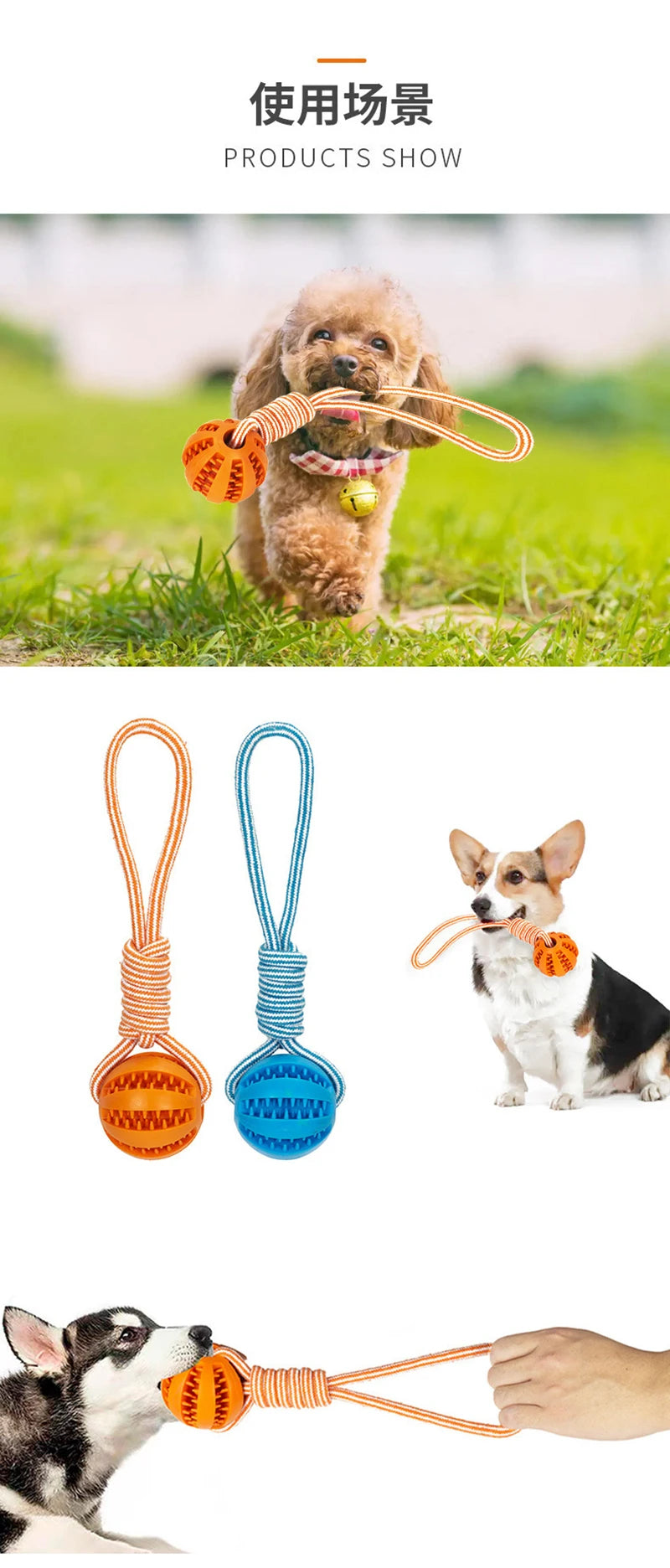 Interactive Pet Treat Balls Toy