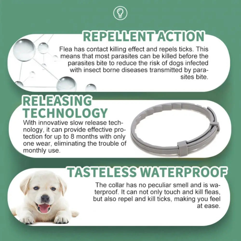 Pet Anti Flea And Collar