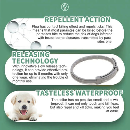 Pet Anti Flea And Collar