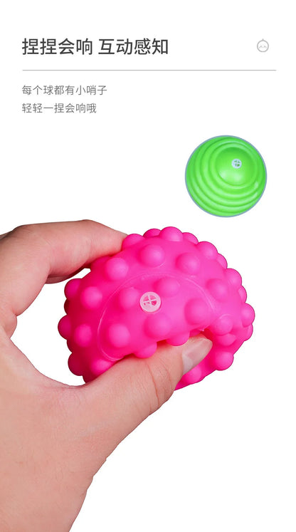 Pet Sensory Massage Toy Balls