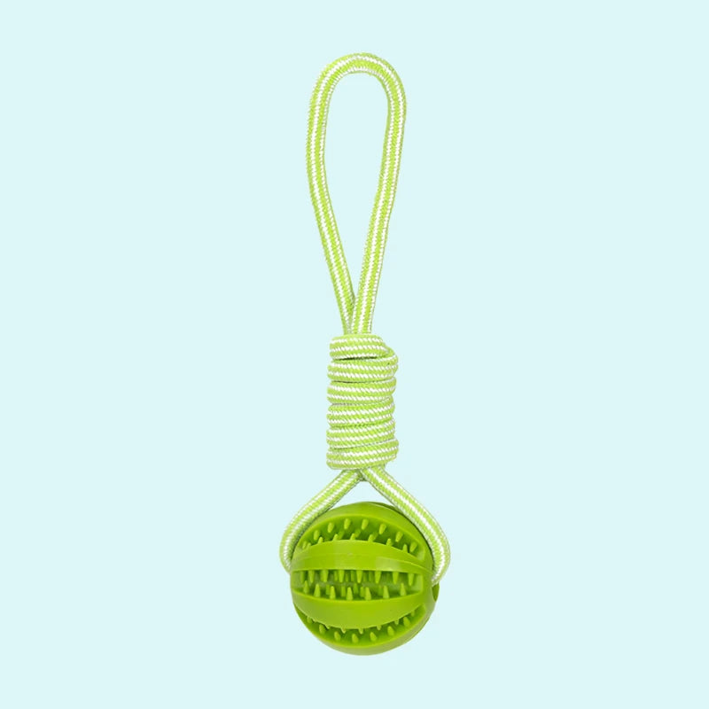 Interactive Pet Treat Balls Toy