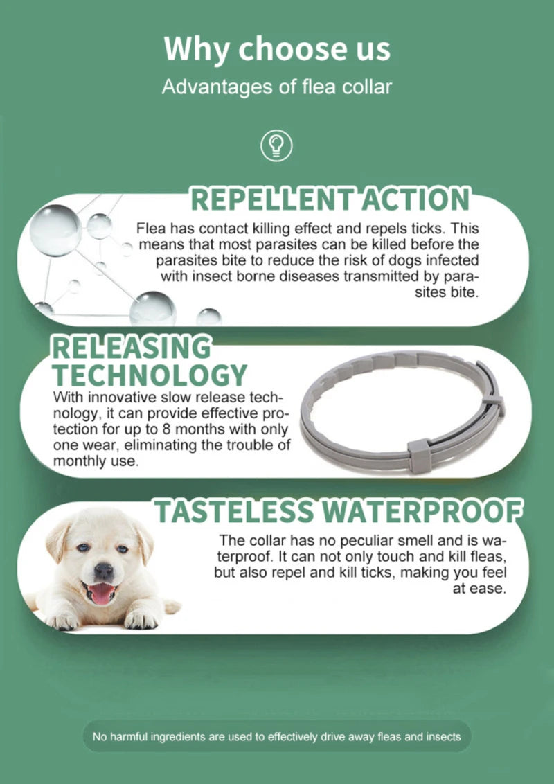 Pet Anti Flea And Collar