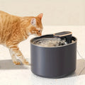 A cat approaching the automatic cat water dispenser.