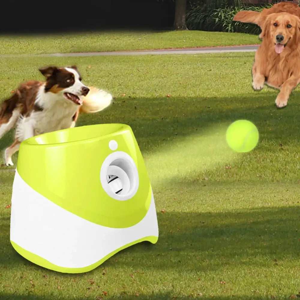 The ball thrower machine for dogs shooting a ball while 2 dogs chase after it.