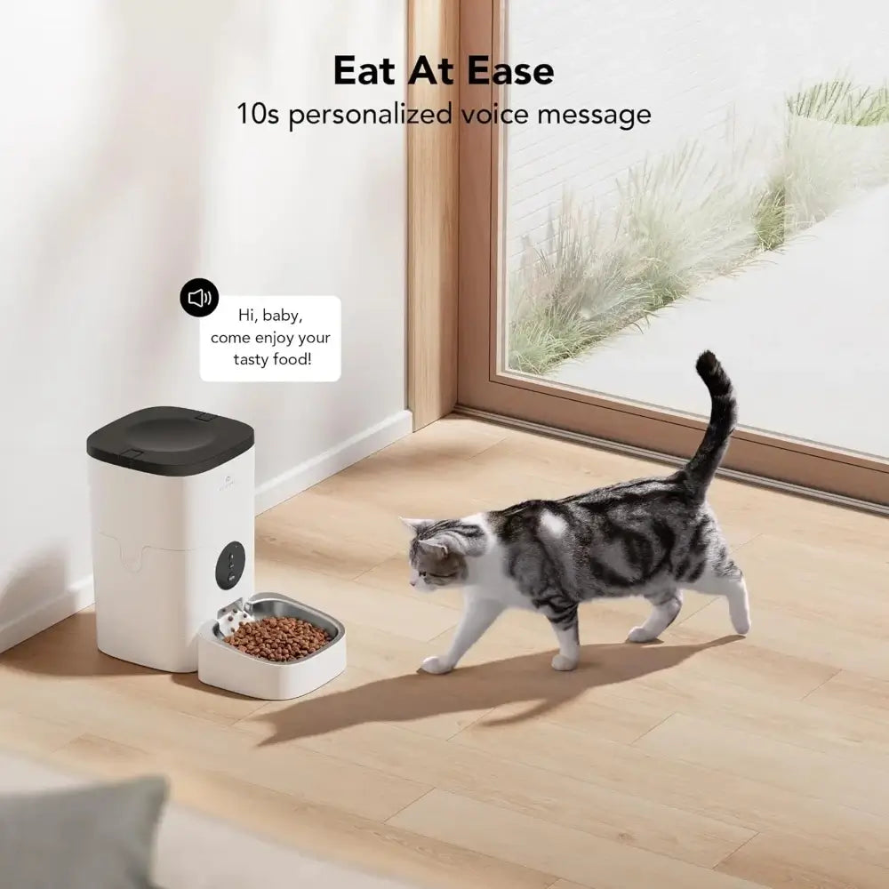 A cat walking over to the automatic voice record feeder with food waiting for it.