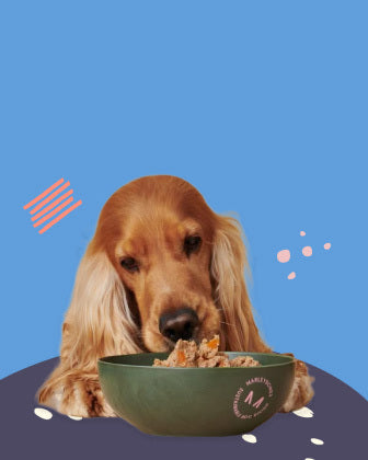 Sustainable dog food Marleybones Dog Dining