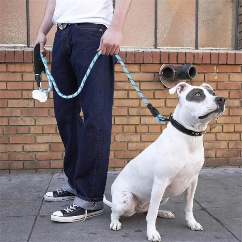 A man holding a large dog with the reflective traction dog leash.