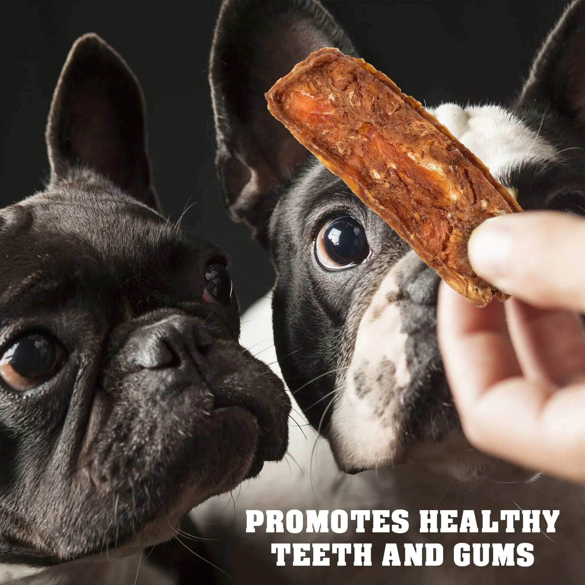 french dogs eat cheap chicken food