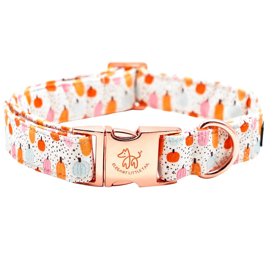 Little tail Dog Collar