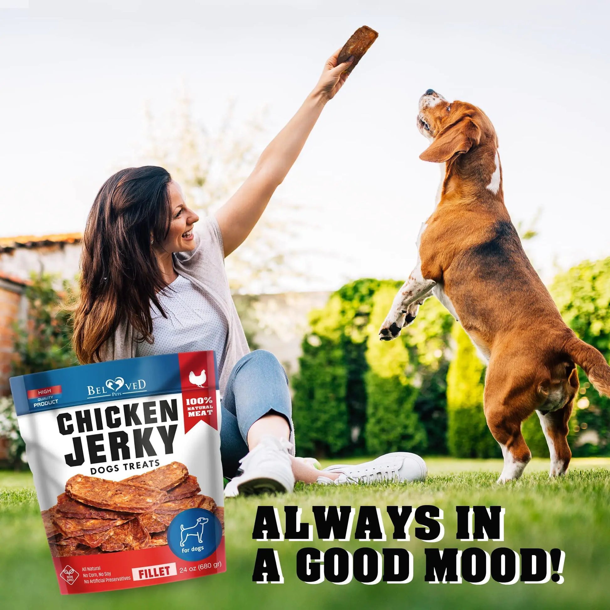 Shop Chicken Jerky Dog Treats 1.5 Lb