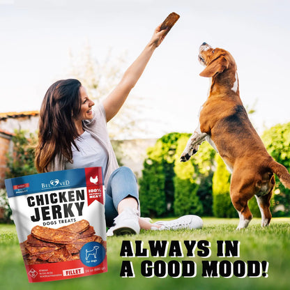 Shop Chicken Jerky Dog Treats 1.5 Lb